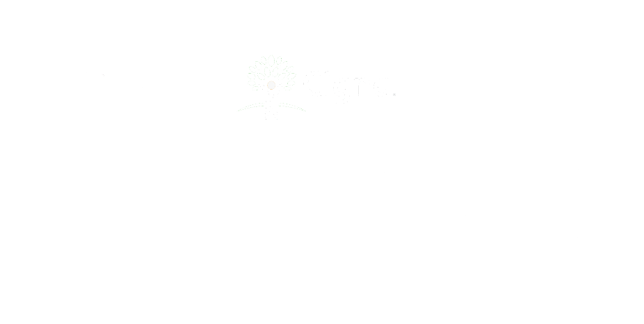 insurance-logos